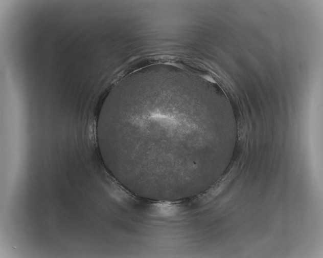 X0000112430425200908211204