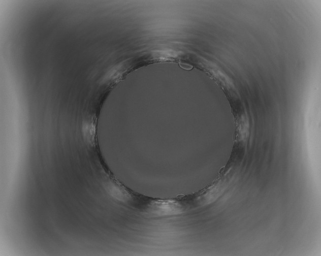 X0000112430427200908211204