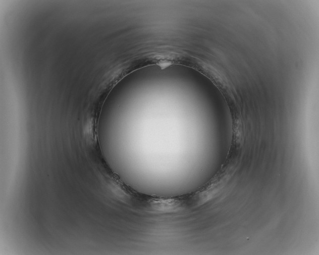X0000112430428200908211204