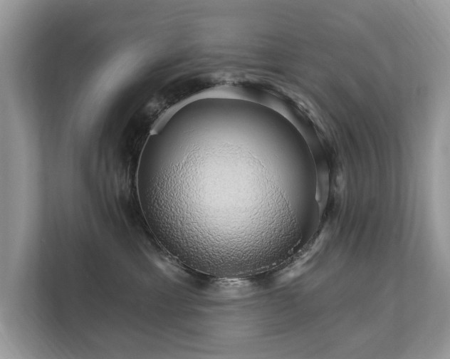 X0000112430429200908211204