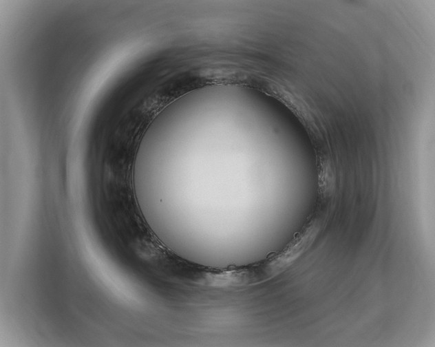X0000112430430200908211204