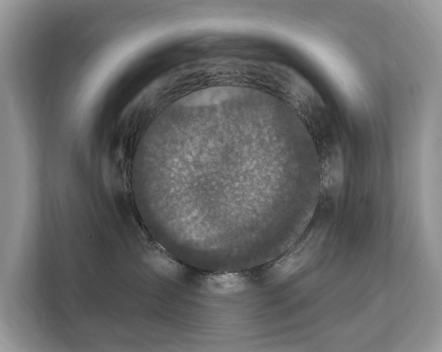X0000112430431200908211204