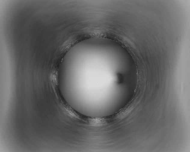X0000112430432200908211204