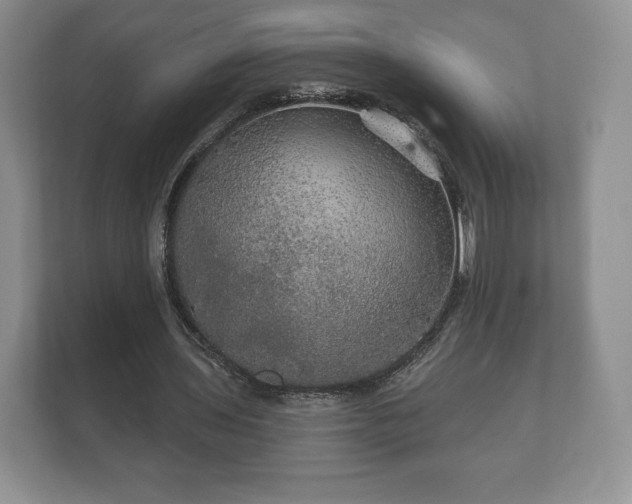 X0000112430435200908211204