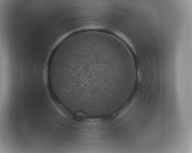 X0000112430436200908211204