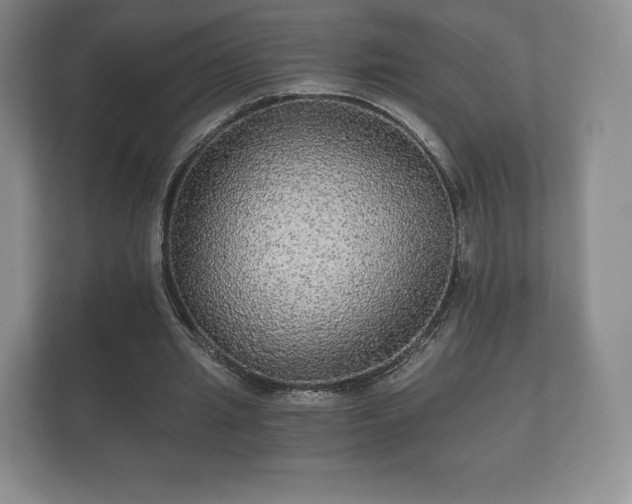 X0000112430437200908211204
