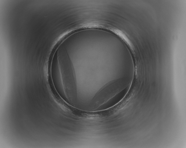 X0000112430438200908211204