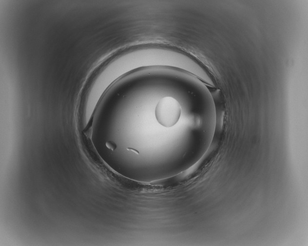 X0000112430440200908211204