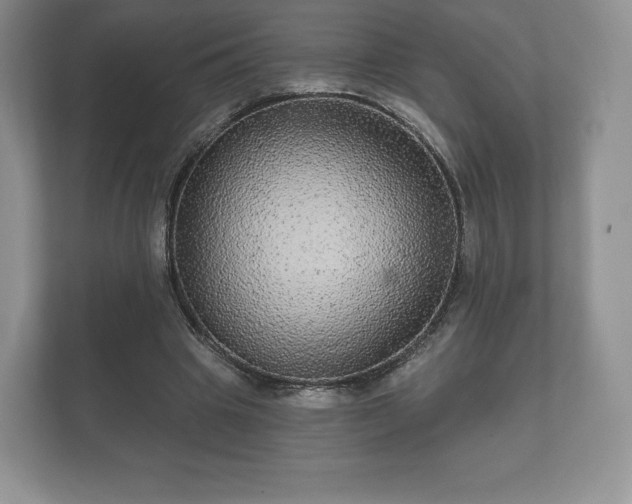 X0000112430441200908211204