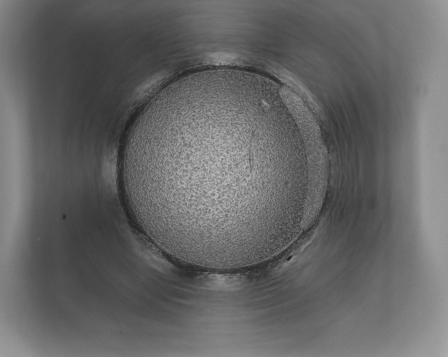 X0000112430442200908211204