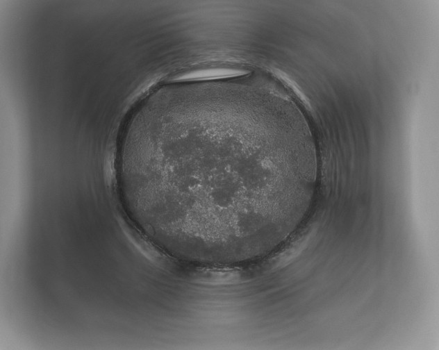 X0000112430443200908211204