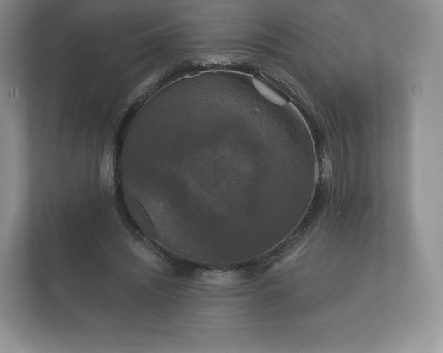 X0000112430444200908211204