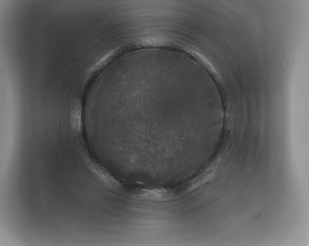 X0000112430446200908211204