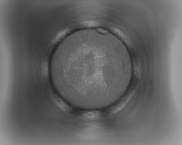 X0000112430447200908211204