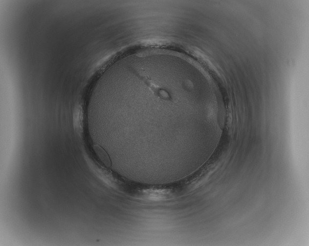 X0000112430448200908211204