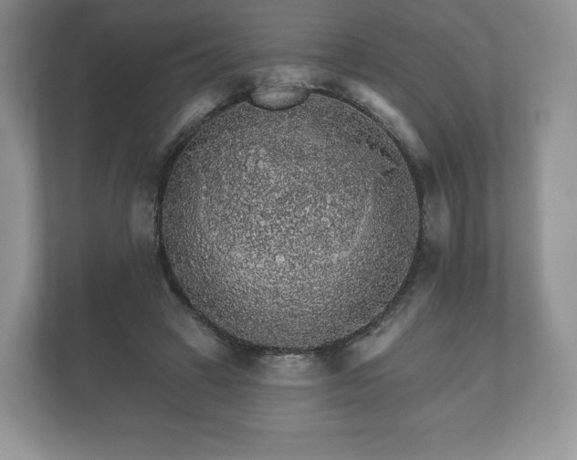 X0000112430449200908211204