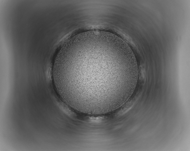 X0000112430450200908211204