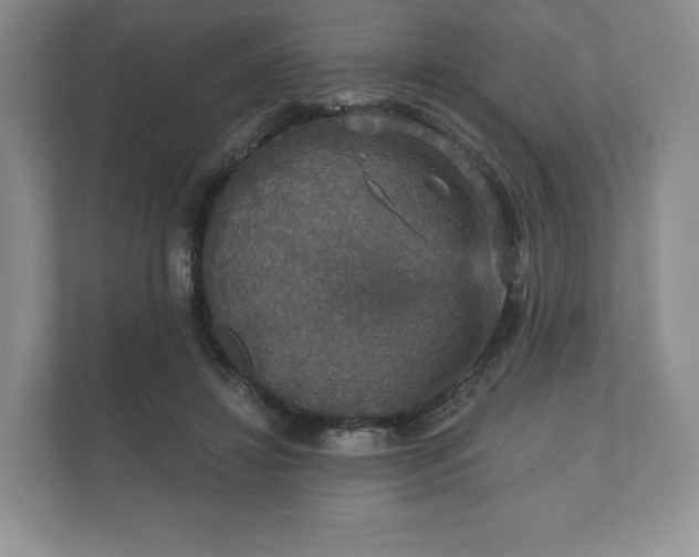 X0000112430452200908211204