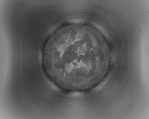 X0000112430453200908211204