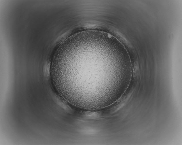 X0000112430454200908211204