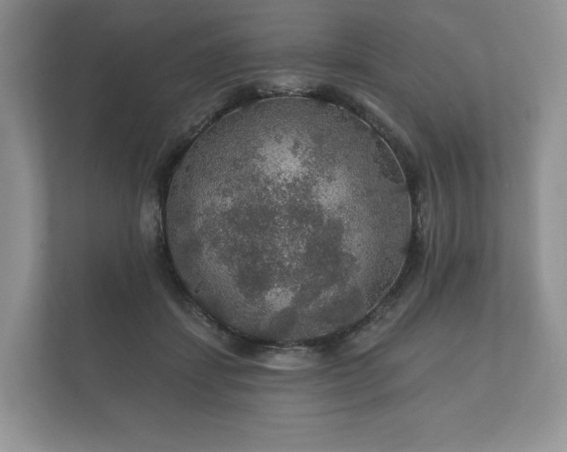 X0000112430459200908211204