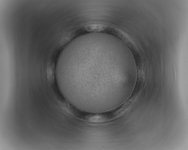 X0000112430460200908211204