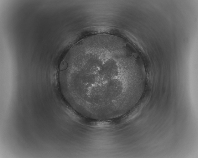 X0000112430462200908211204