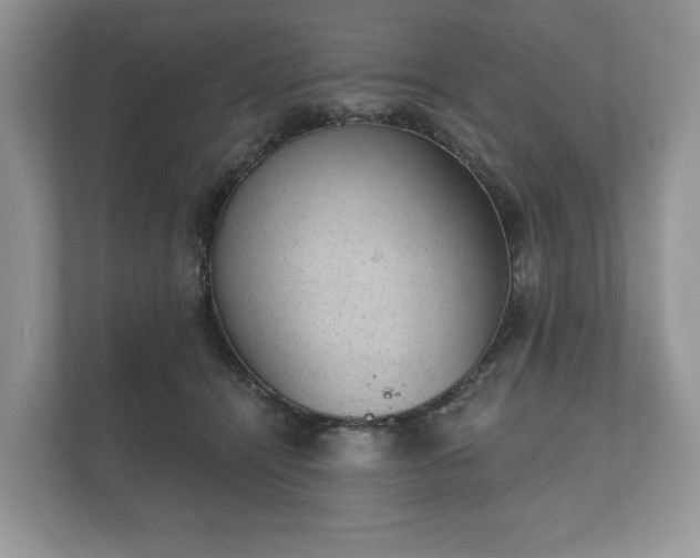 X0000112430464200908211204
