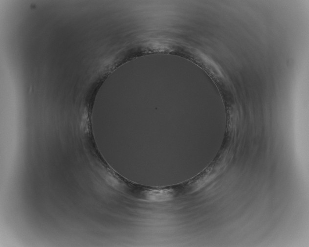 X0000112430465200908211204