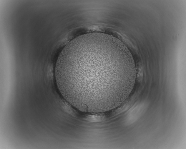 X0000112430466200908211204