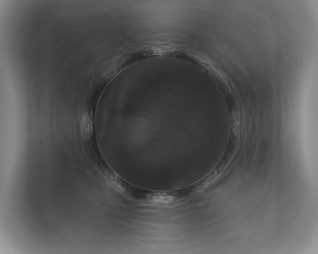 X0000112430471200908211204