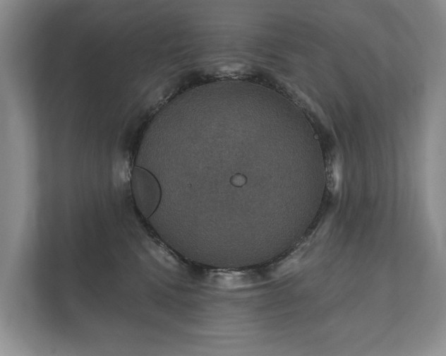 X0000112430472200908211204