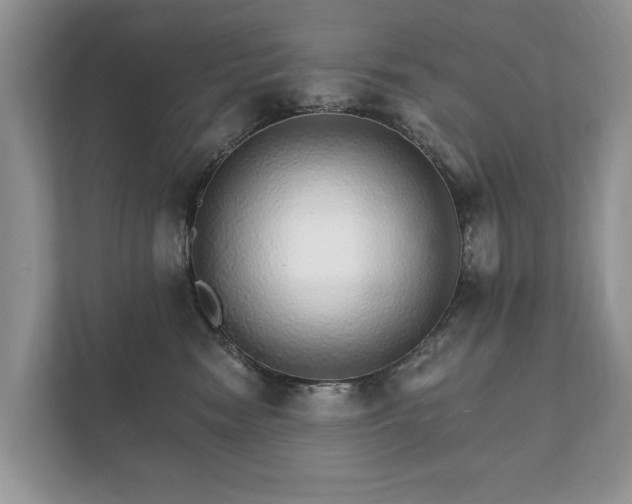 X0000112430474200908211204