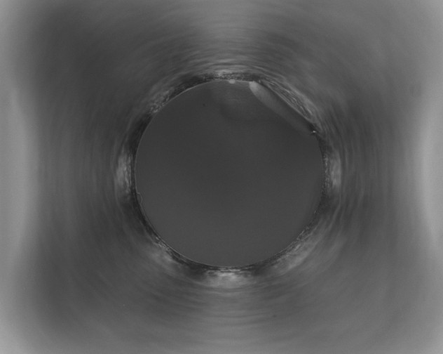 X0000112430475200908211204