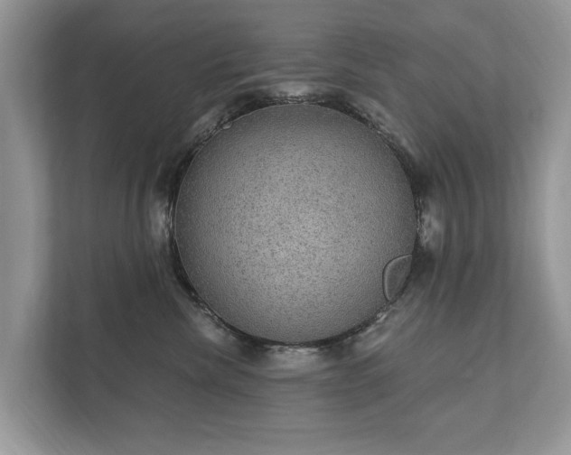 X0000112430476200908211204
