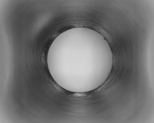 X0000112430477200908211204