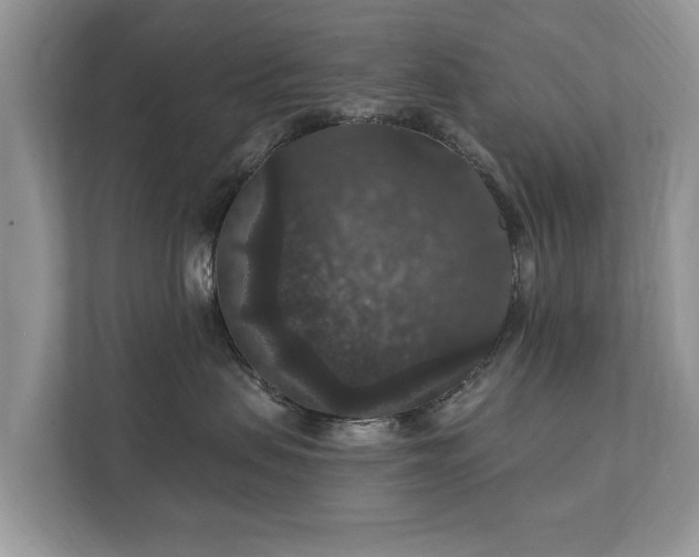 X0000112430479200908211204