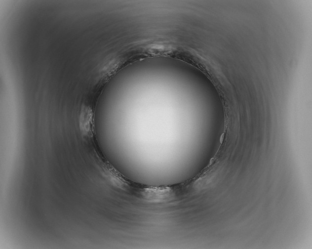 X0000112430480200908211204
