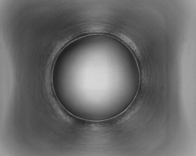 X0000112430481200908211204