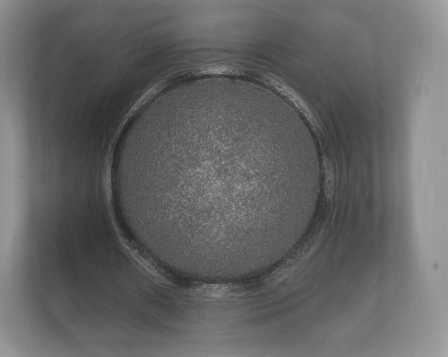 X0000112430482200908211204
