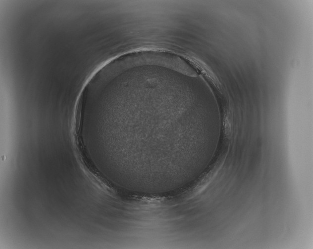 X0000112430484200908211204