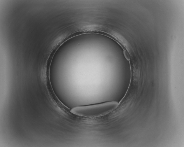 X0000112430485200908211204