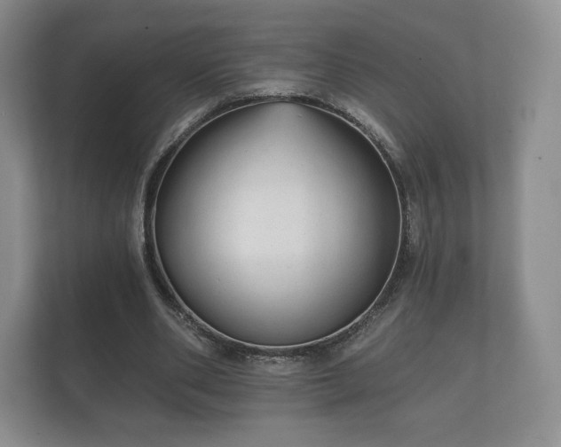 X0000112430486200908211204