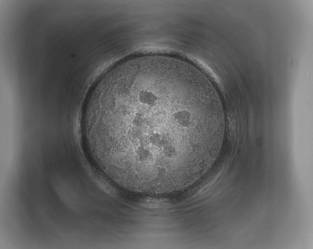 X0000112430487200908211204