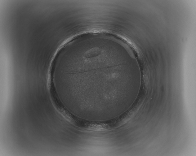 X0000112430488200908211204
