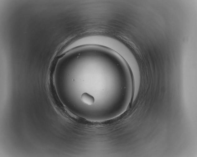 X0000112430492200908211204