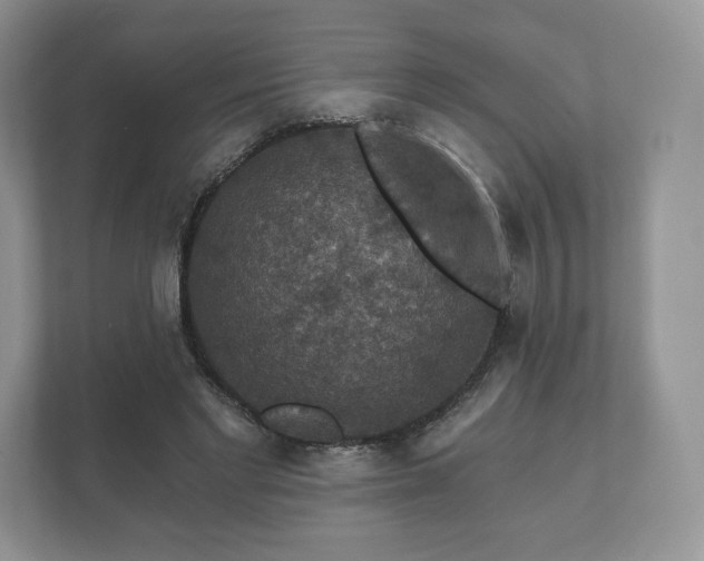 X0000112430493200908211203