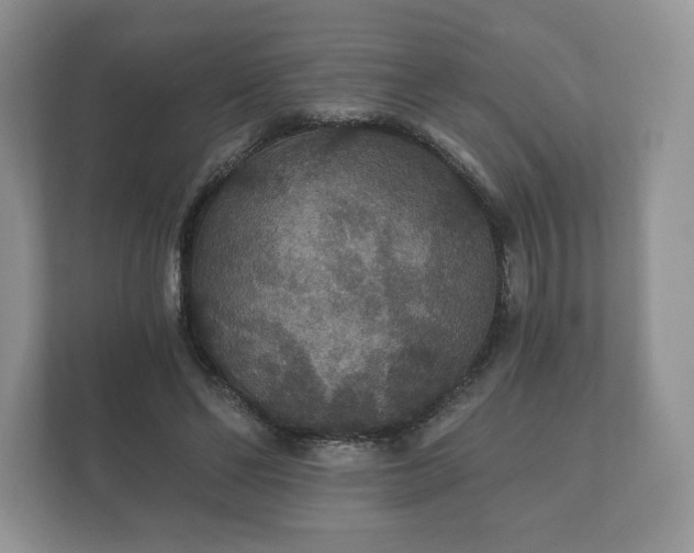 X0000112430494200908211203