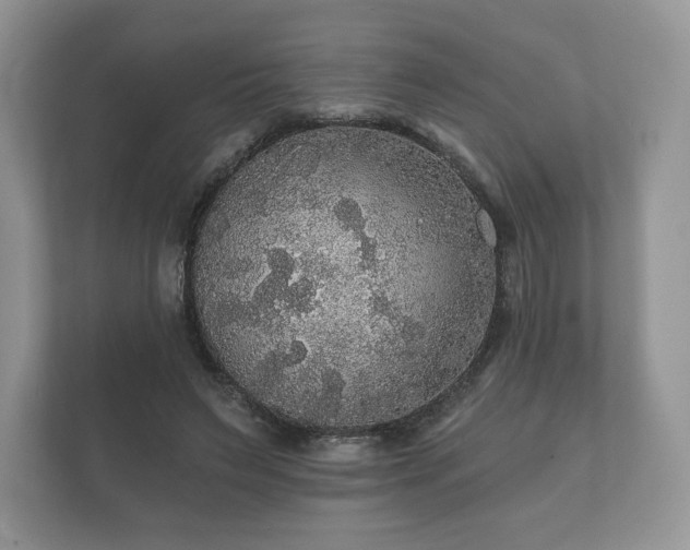 X0000112430495200908211203