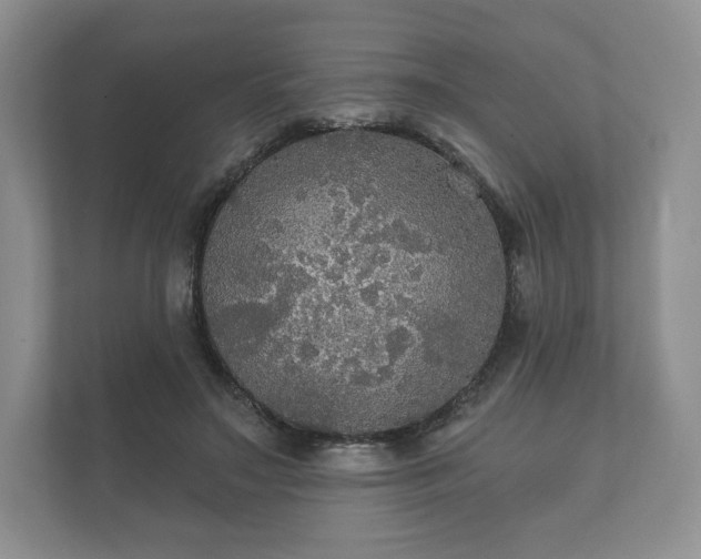 X0000112430499200908211203